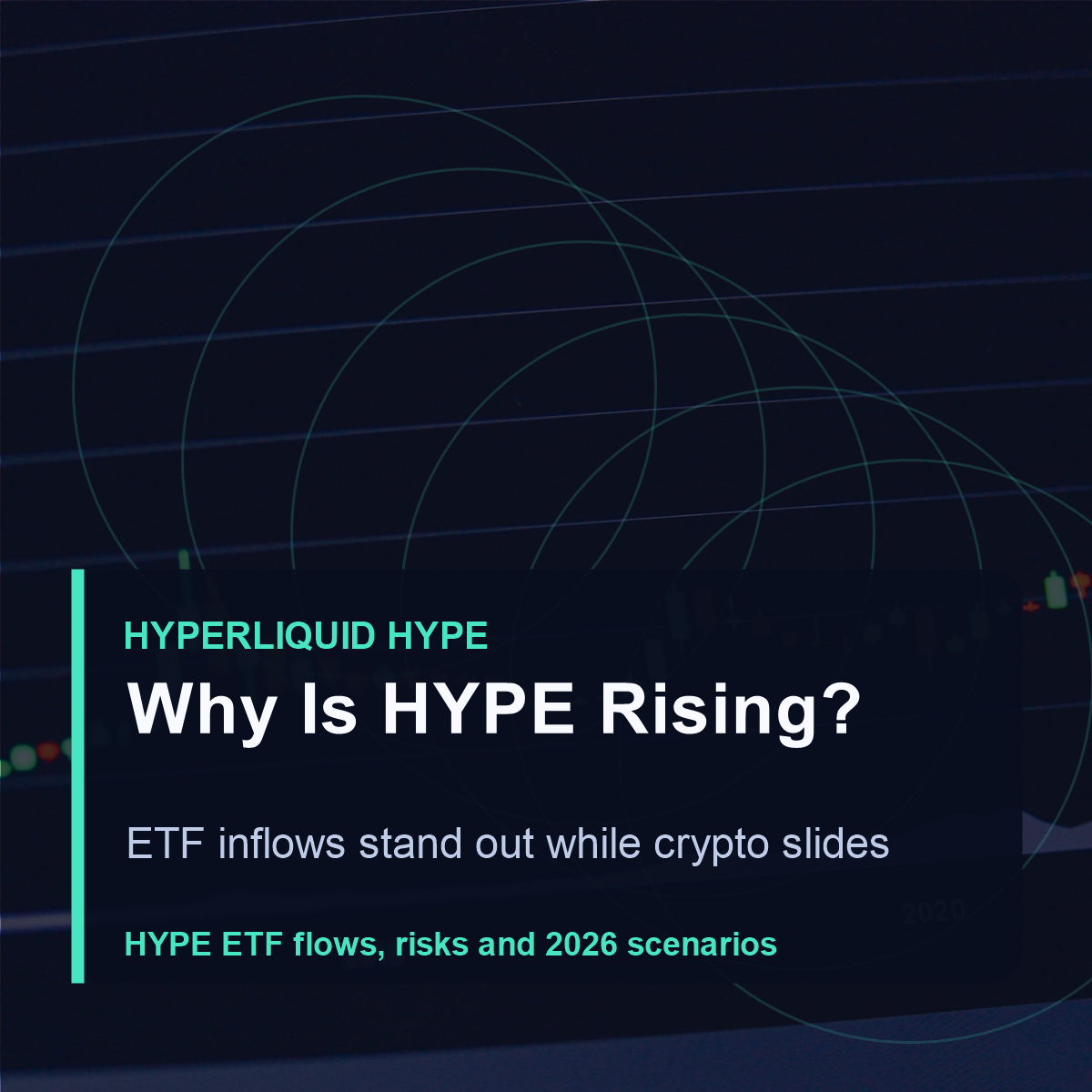 Hyperliquid HYPE - Why Is Hyperliquid HYPE Rising While Crypto Falls?